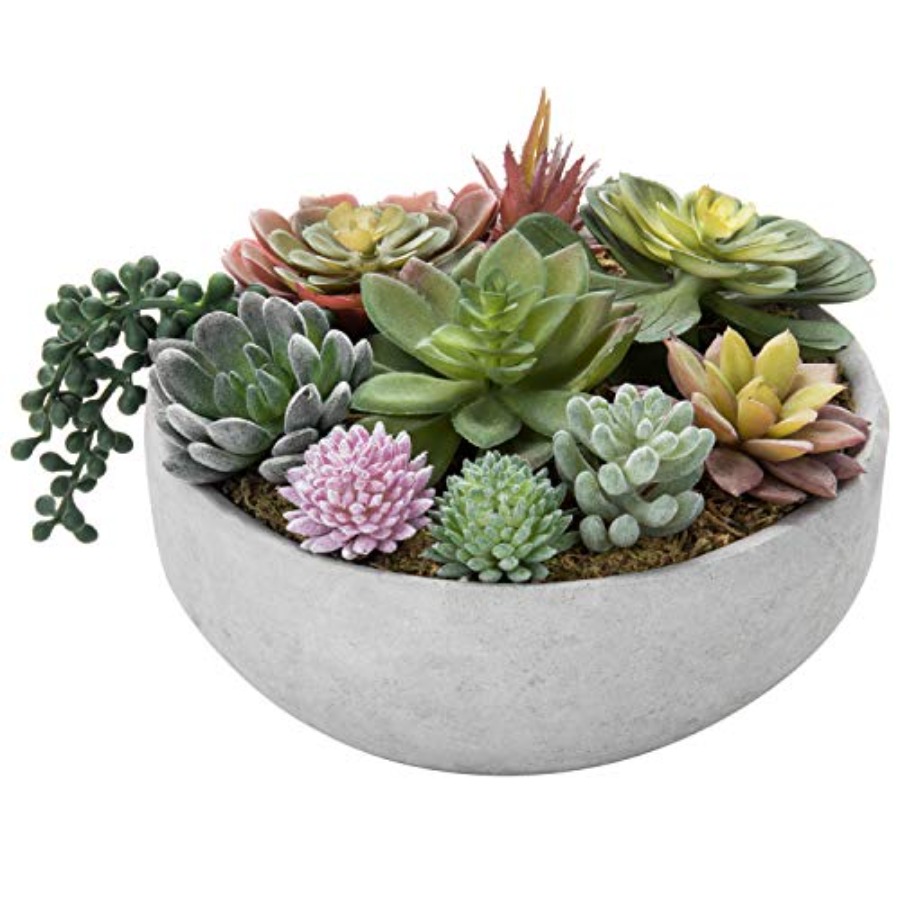 Succulent Arrangement Mini - 8 Inch Round Modern Artificial Succulent