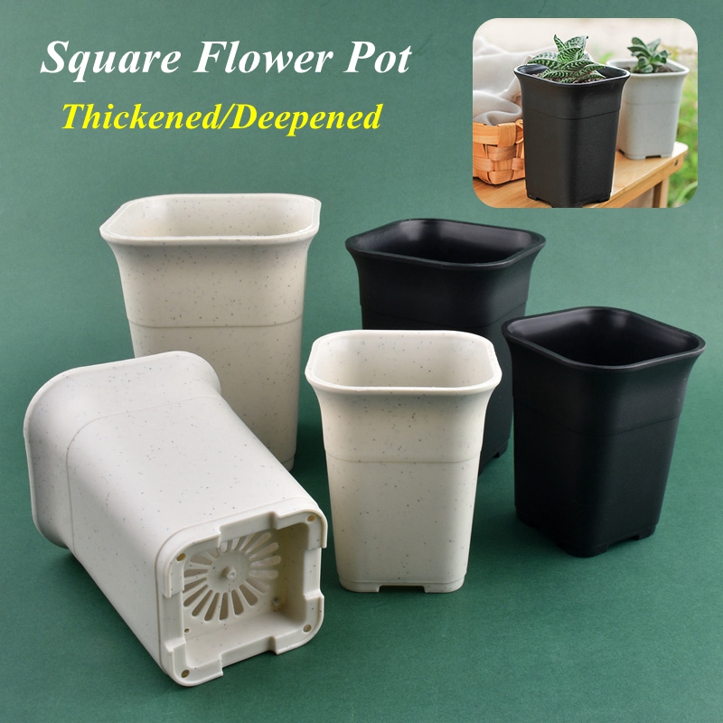 Cactus Mix Pot - 5/10Pcs Deepened Square Plants Flowerpot High-quality