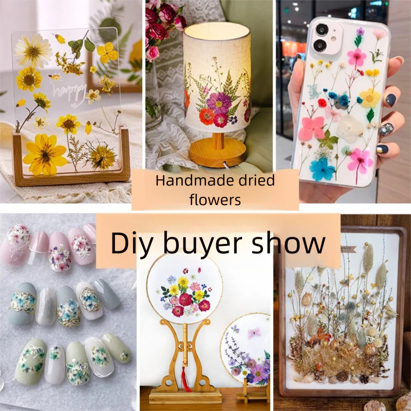 Plant Parent Free - Mixed Dried Flowers, Pressed Flowers, Resin