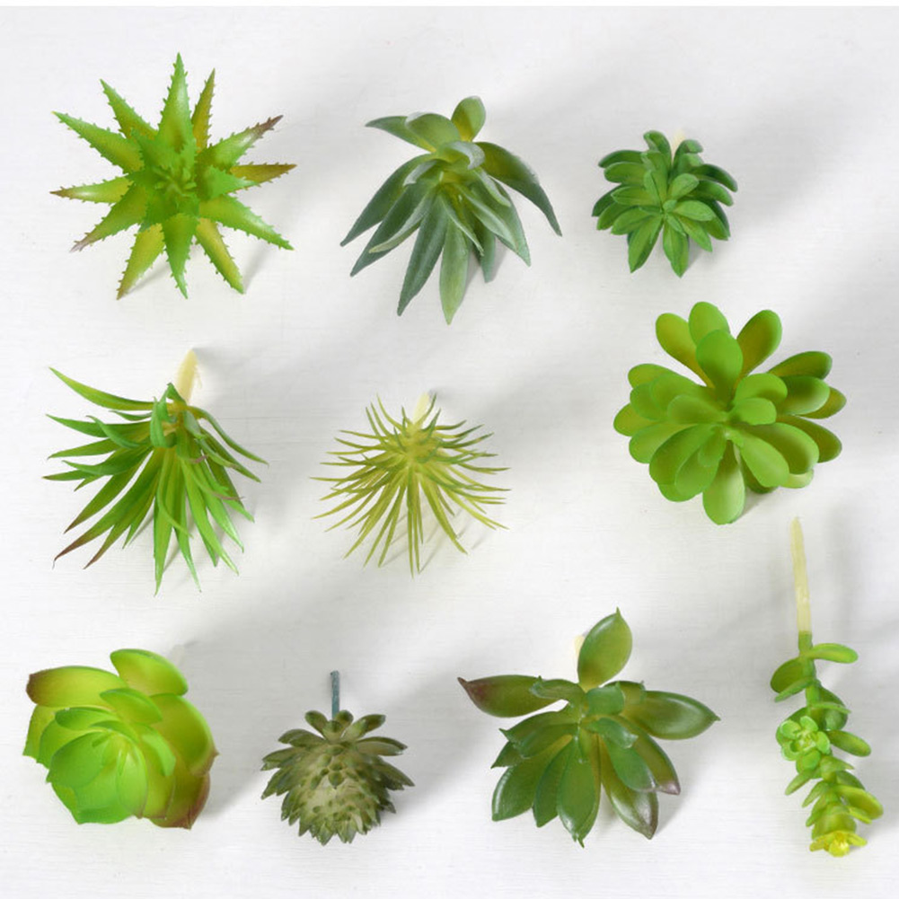Succulent Arrangement Mini - Low Upkeep For Mini Bonsai Succulent