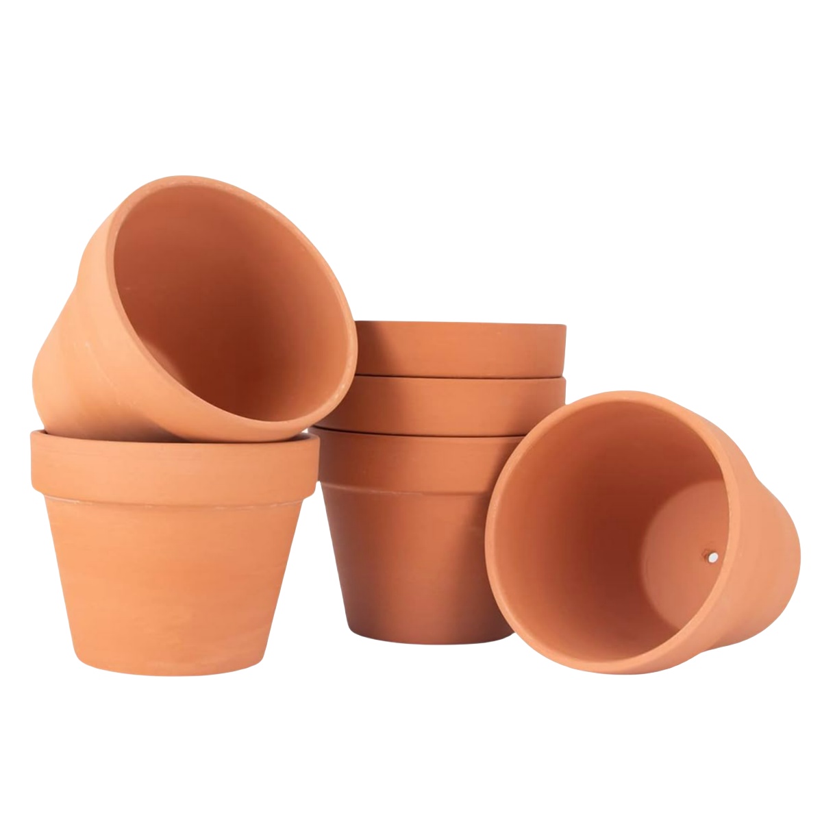 6pcs 4 inch Terracotta Pots Fl - Cactus Mix Pot avis et prix