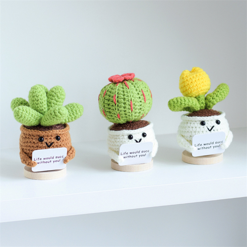 Mini Cute Crochet Flowers Fini - Cactus Mix Pot avis et prix