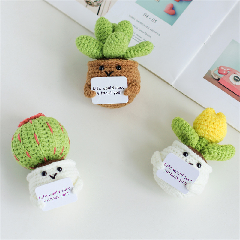 Mini Cute Crochet Flowers Fini - Cactus Mix Pot avis et prix