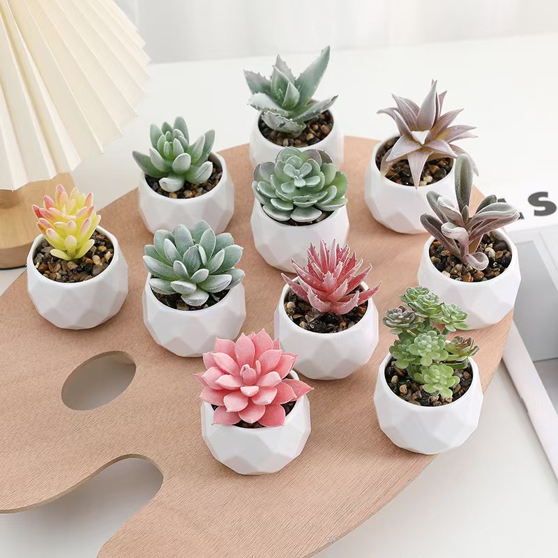 Mini Artificial Plants Simulat - Cactus Mix Pot avis et prix