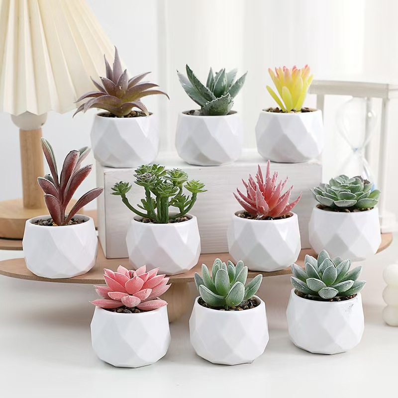 Mini Artificial Plants Simulat - Cactus Mix Pot avis et prix