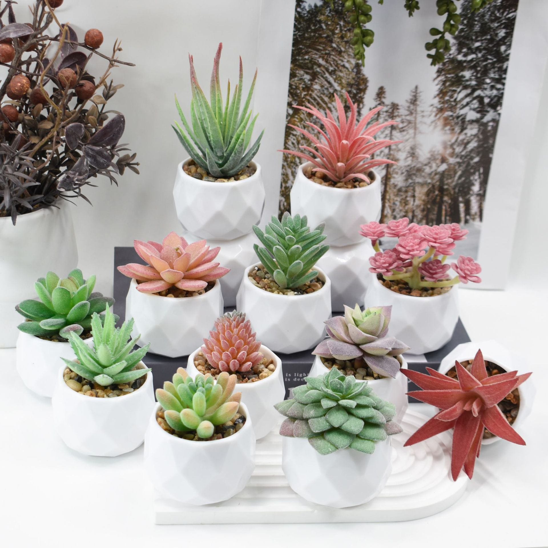 Mini Artificial Plants Simulat - Cactus Mix Pot avis et prix