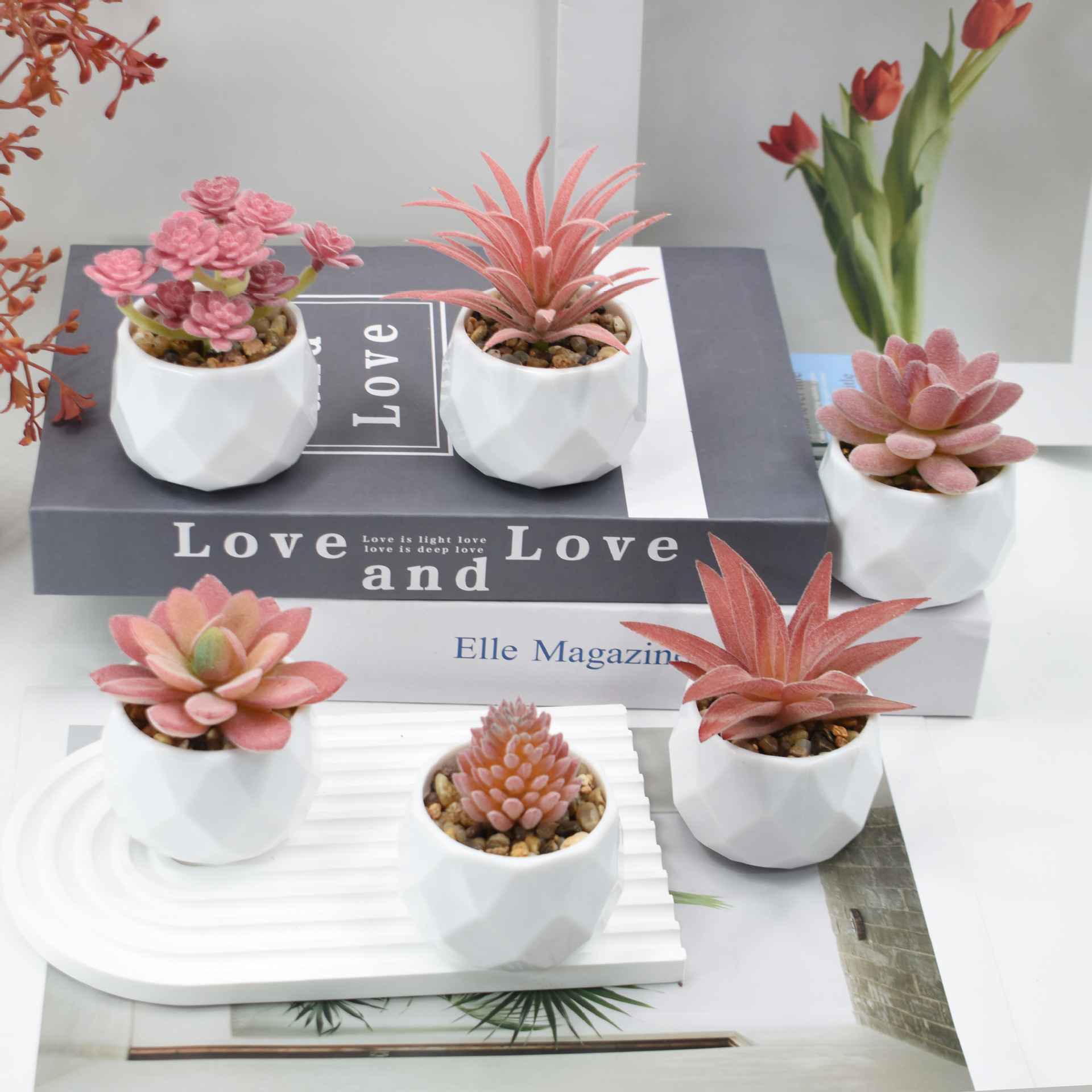 Mini Artificial Plants Simulat - Cactus Mix Pot avis et prix