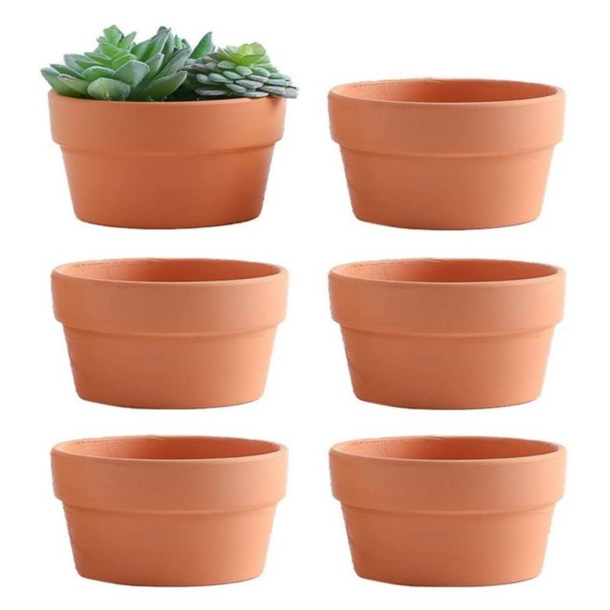 6 PCS Terracotta Buld Pots 3.5 - Cactus Mix Pot avis et prix