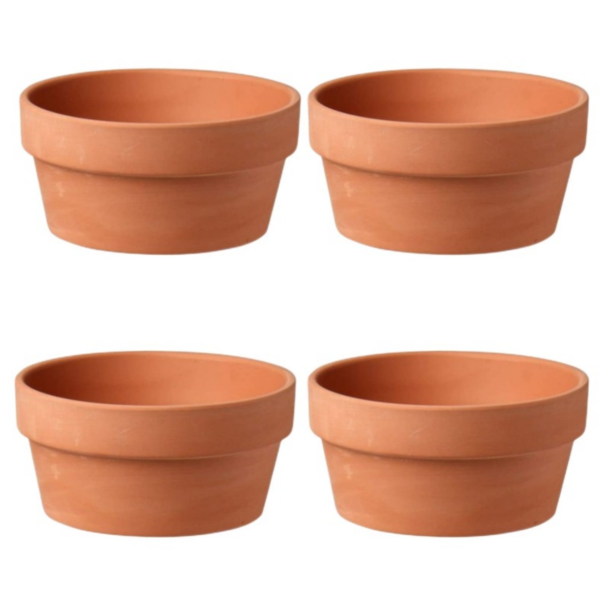 6 PCS Terracotta Buld Pots 3.5 - Cactus Mix Pot avis et prix