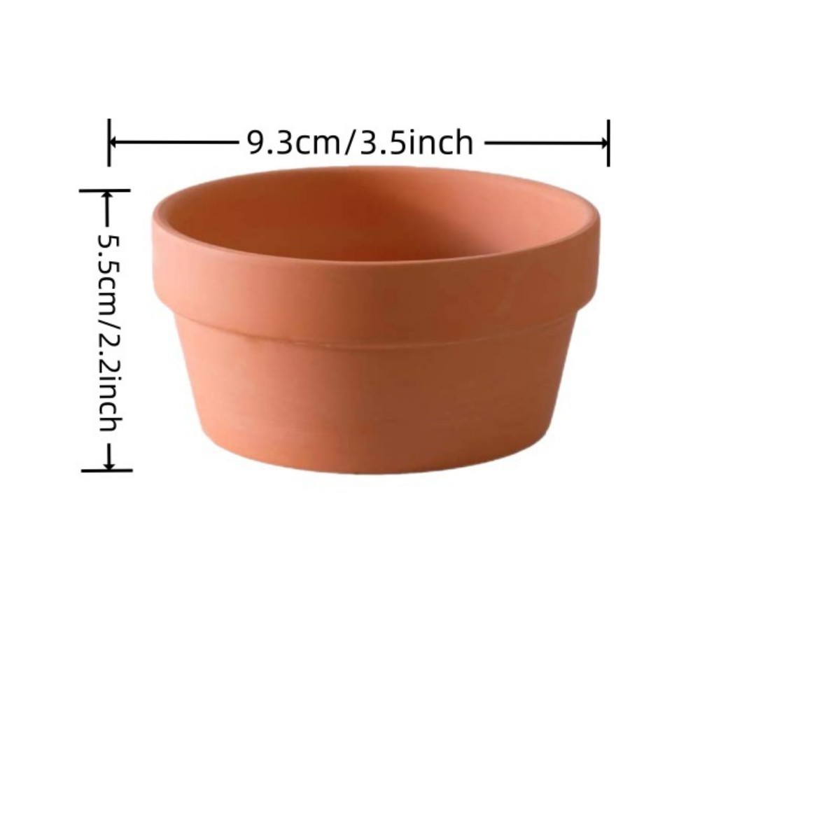 6 PCS Terracotta Buld Pots 3.5 - Cactus Mix Pot avis et prix