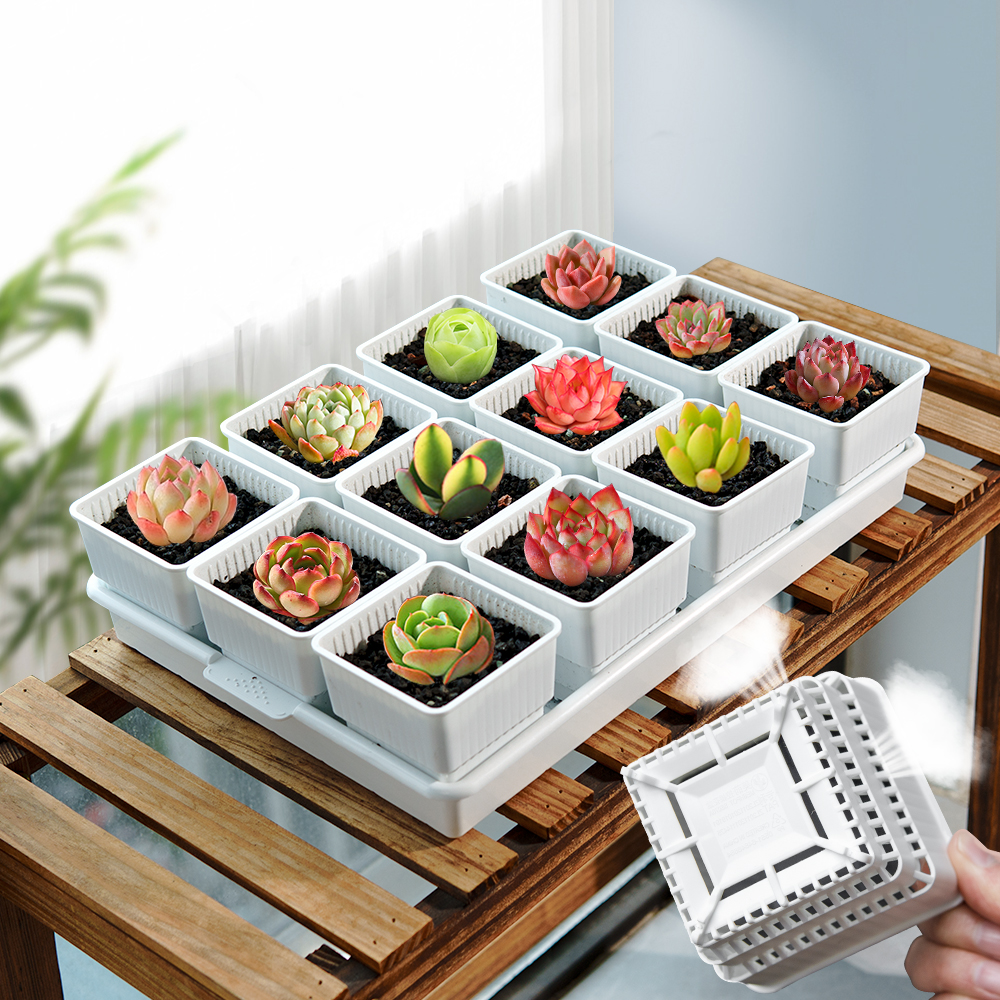 Meshpot Succulent Pot Plastic  - Cactus Mix Pot avis et prix