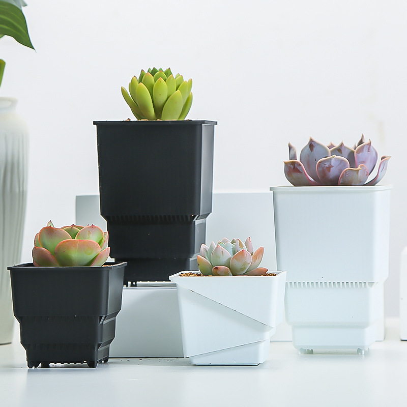 Meshpot Succulent Pot Plastic  - Cactus Mix Pot avis et prix