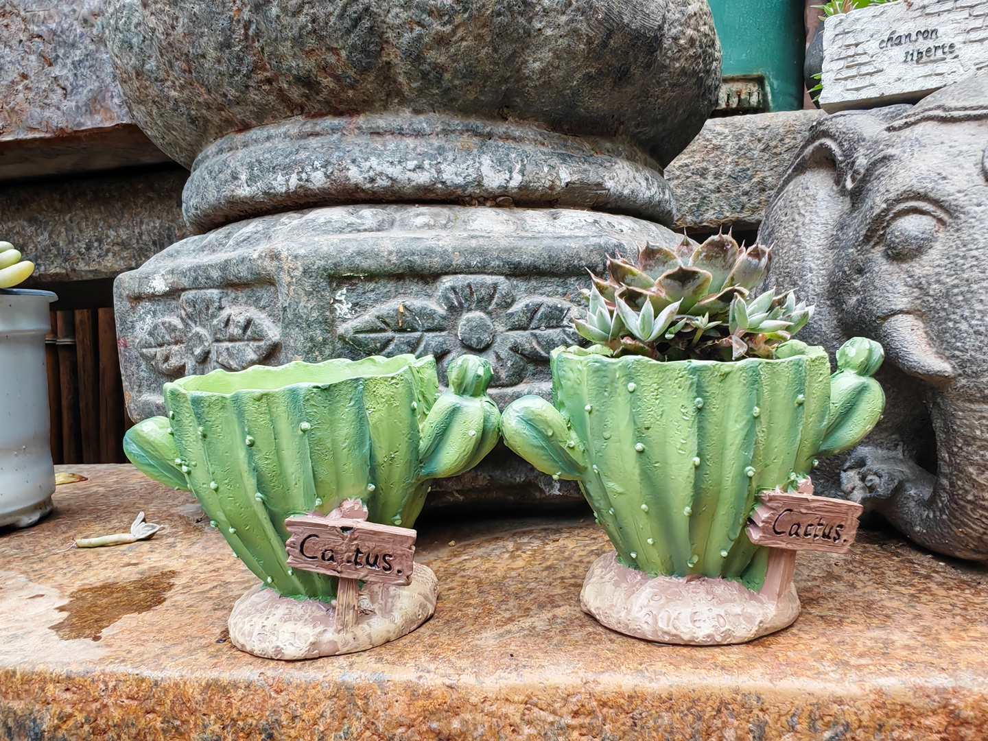 Cactus Flower Planter Pot Cute - Cactus Mix Pot avis et prix