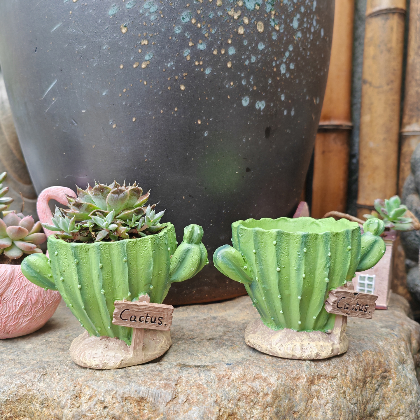 Cactus Flower Planter Pot Cute - Cactus Mix Pot avis et prix