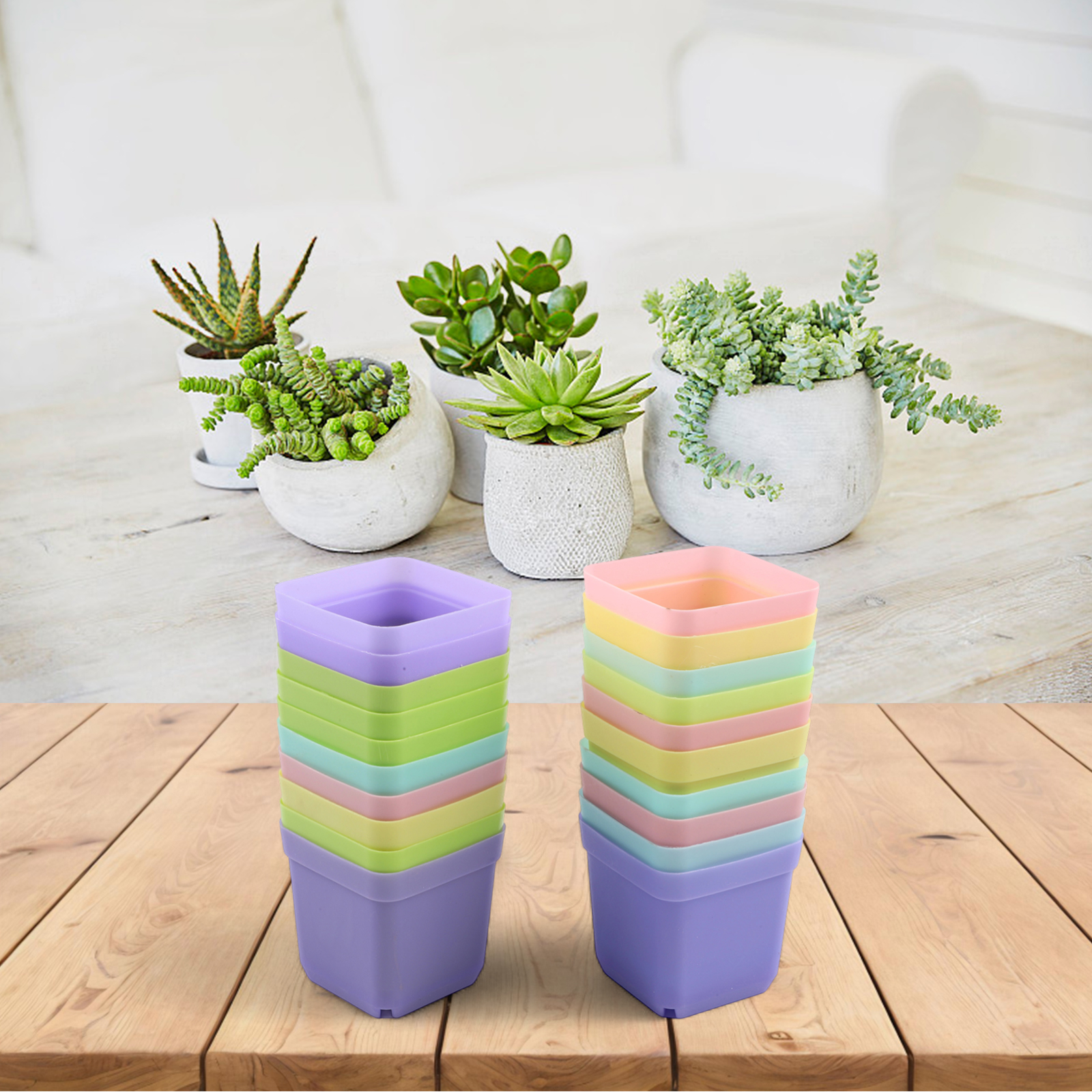 20pcs Square For Mini Basin Po - Succulent Arrangement Mini avis et prix