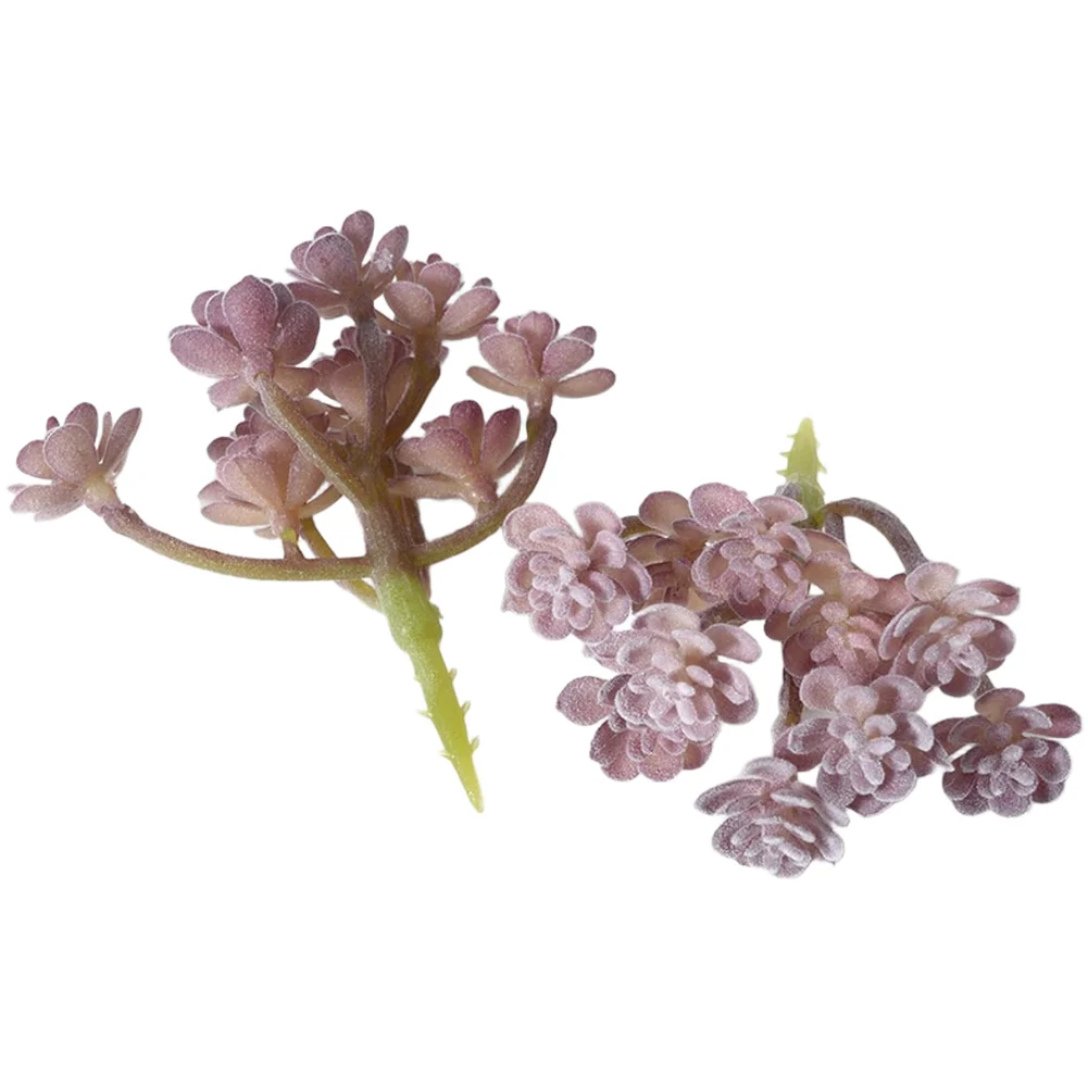 PVC Flocked Purple Fake Succul - Succulent Arrangement Mini avis et prix