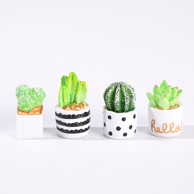 4pcs/Set Of Mini Succulent Pot - Cactus Mix Pot avis et prix