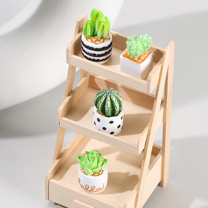 4pcs/Set Of Mini Succulent Pot - Cactus Mix Pot avis et prix