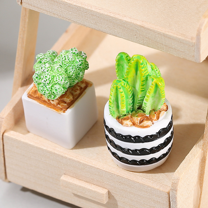 4pcs/Set Of Mini Succulent Pot - Cactus Mix Pot avis et prix