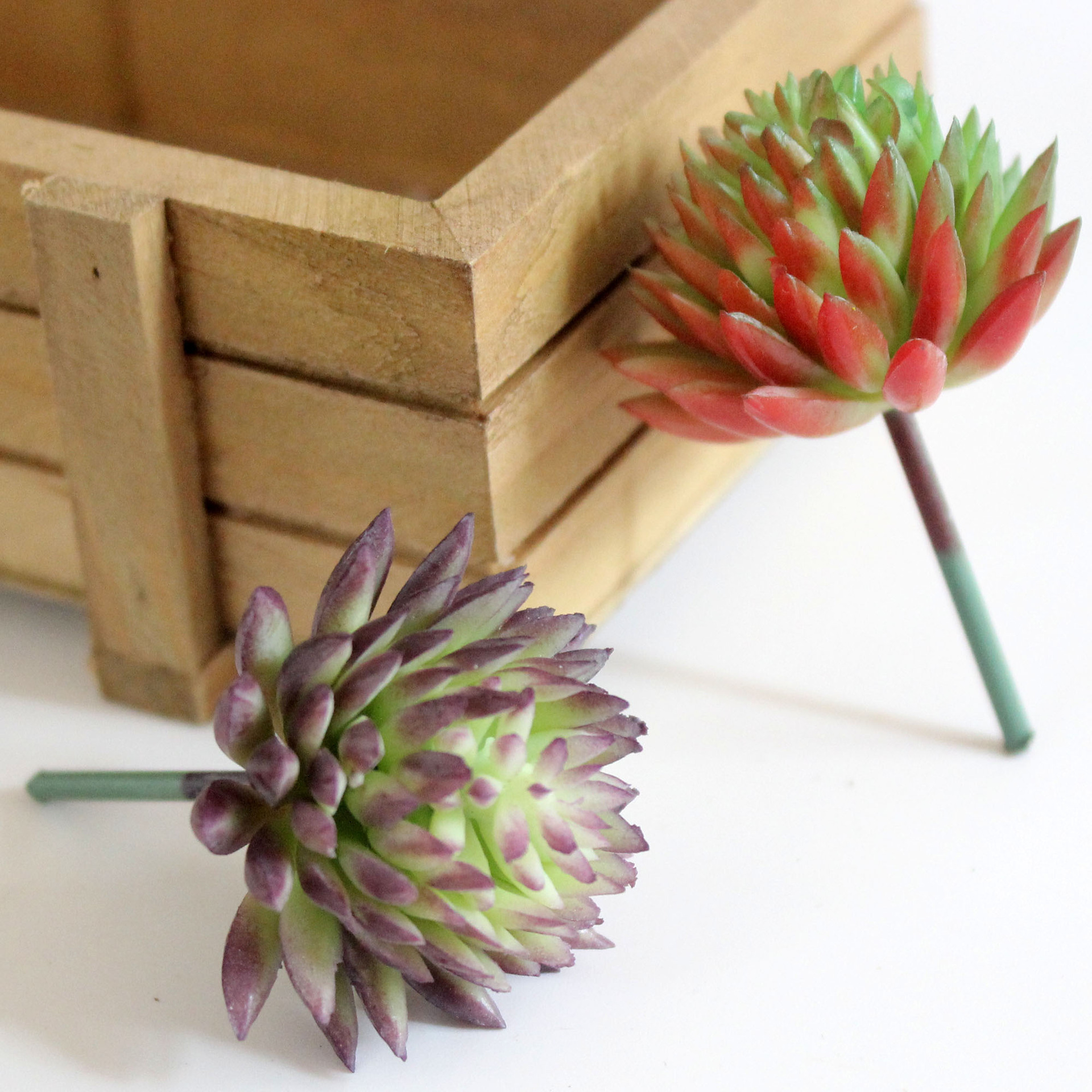 Artificial Succulent Flocking  - Succulent Arrangement Mini avis et prix