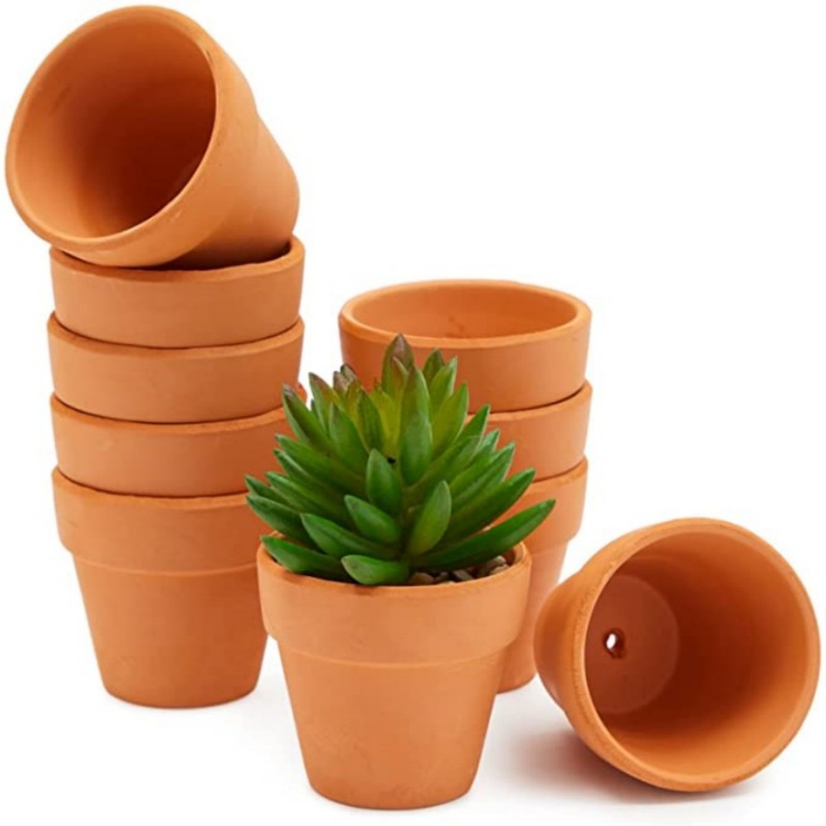16 Pcs 1.8'' Terra Cotta Pots  - Cactus Mix Pot avis et prix