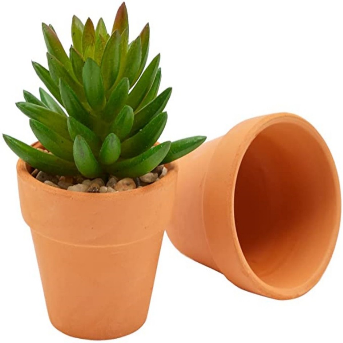 16 Pcs 1.8'' Terra Cotta Pots  - Cactus Mix Pot avis et prix