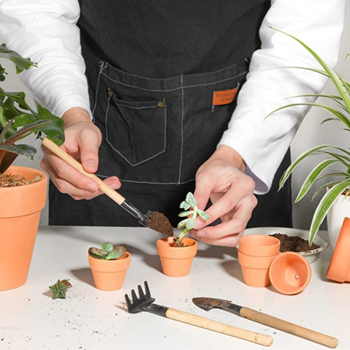16 Pcs 1.8'' Terra Cotta Pots  - Cactus Mix Pot avis et prix