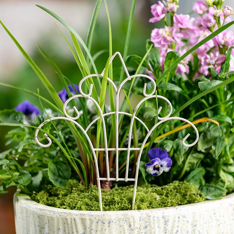 Whimsical Mini Iron FlowerPot  - Succulent Arrangement Mini avis et prix
