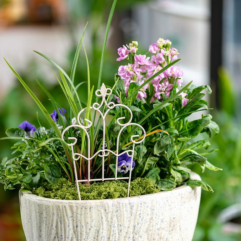 Whimsical Mini Iron FlowerPot  - Succulent Arrangement Mini avis et prix