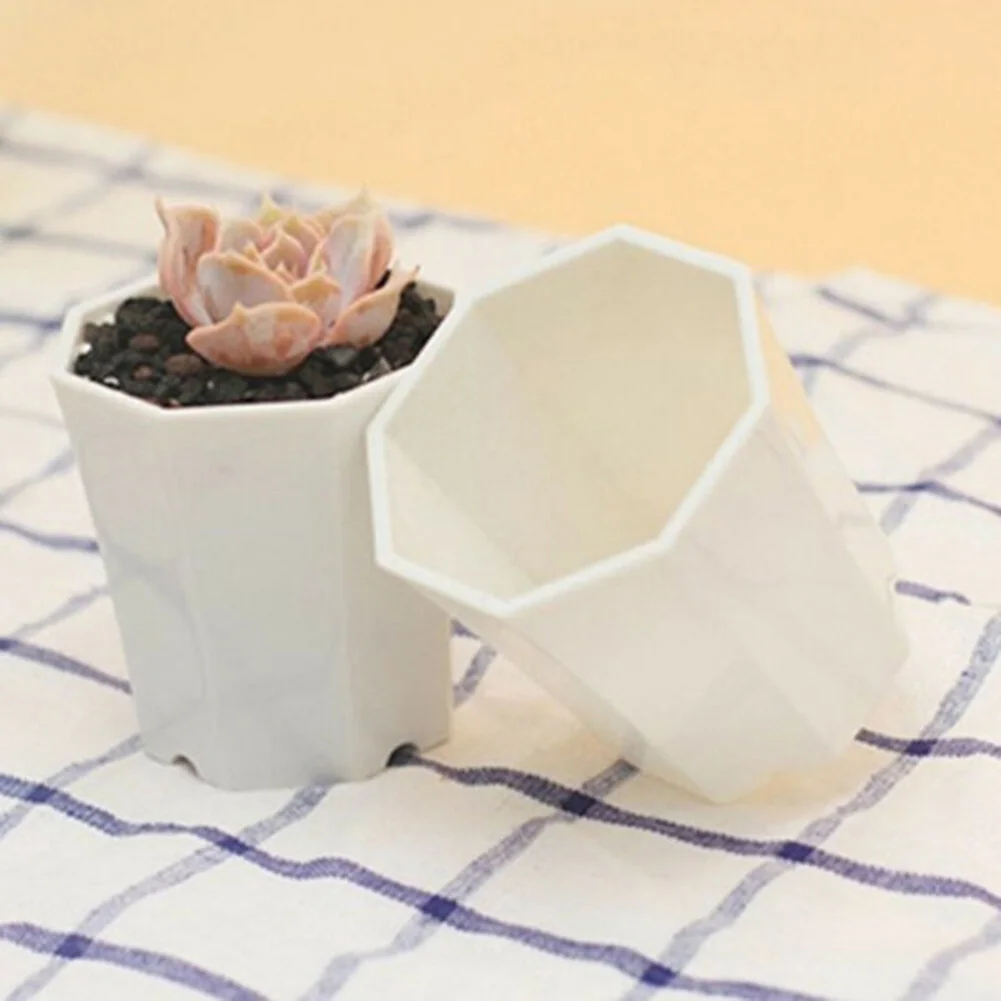 10pcs Plastic For Mini Flower  - Succulent Arrangement Mini avis et prix