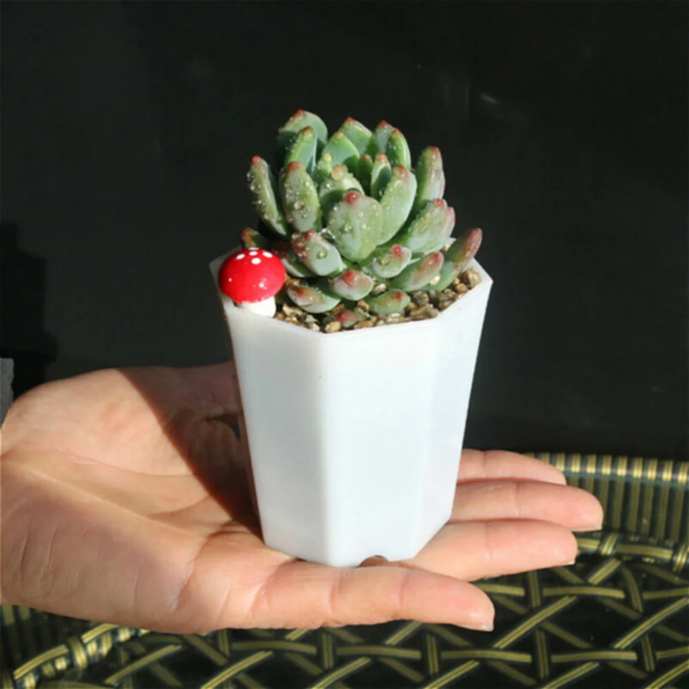 10pcs Plastic For Mini Flower  - Succulent Arrangement Mini avis et prix