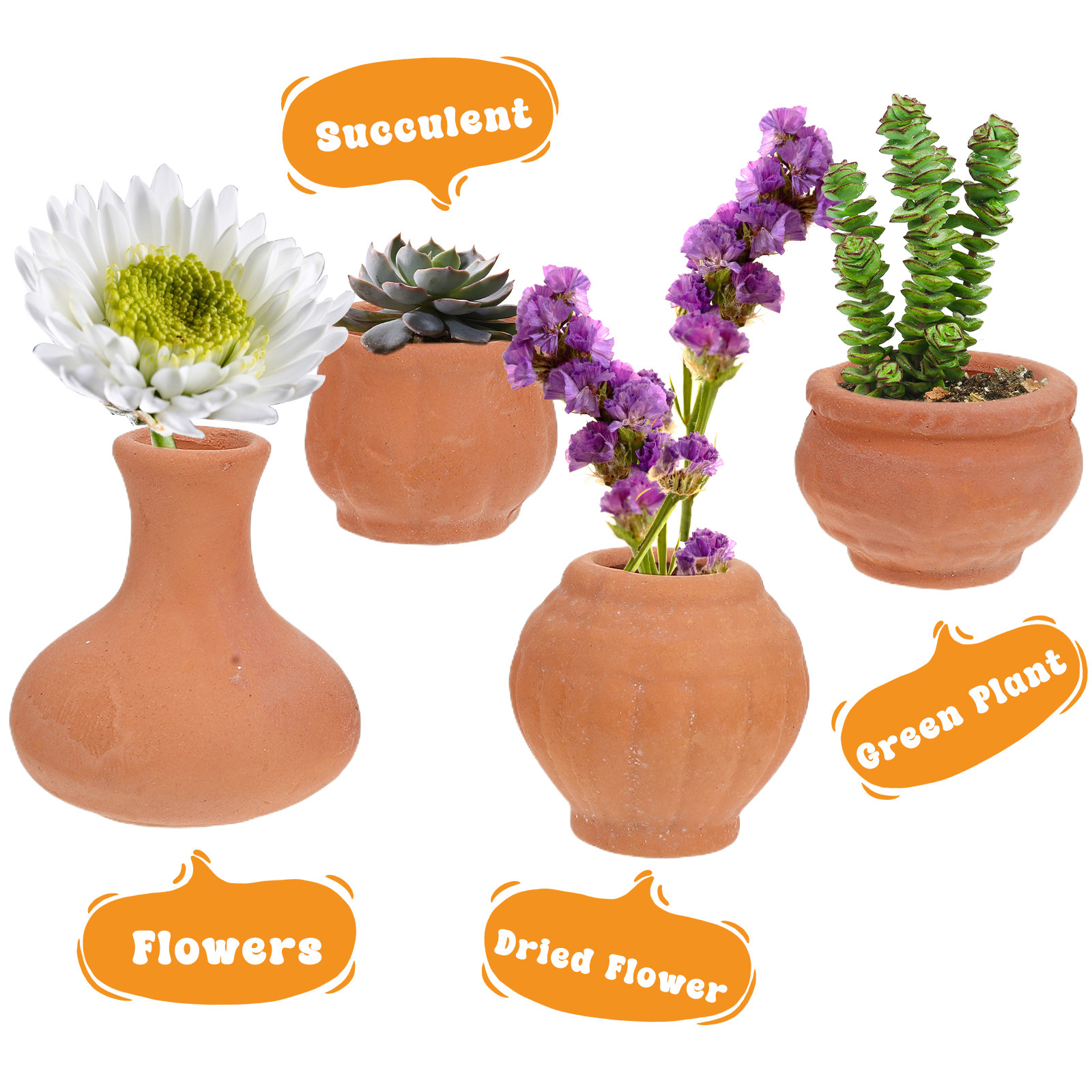 4Pcs Mini Red Terracotta Pots  - Succulent Arrangement Mini avis et prix