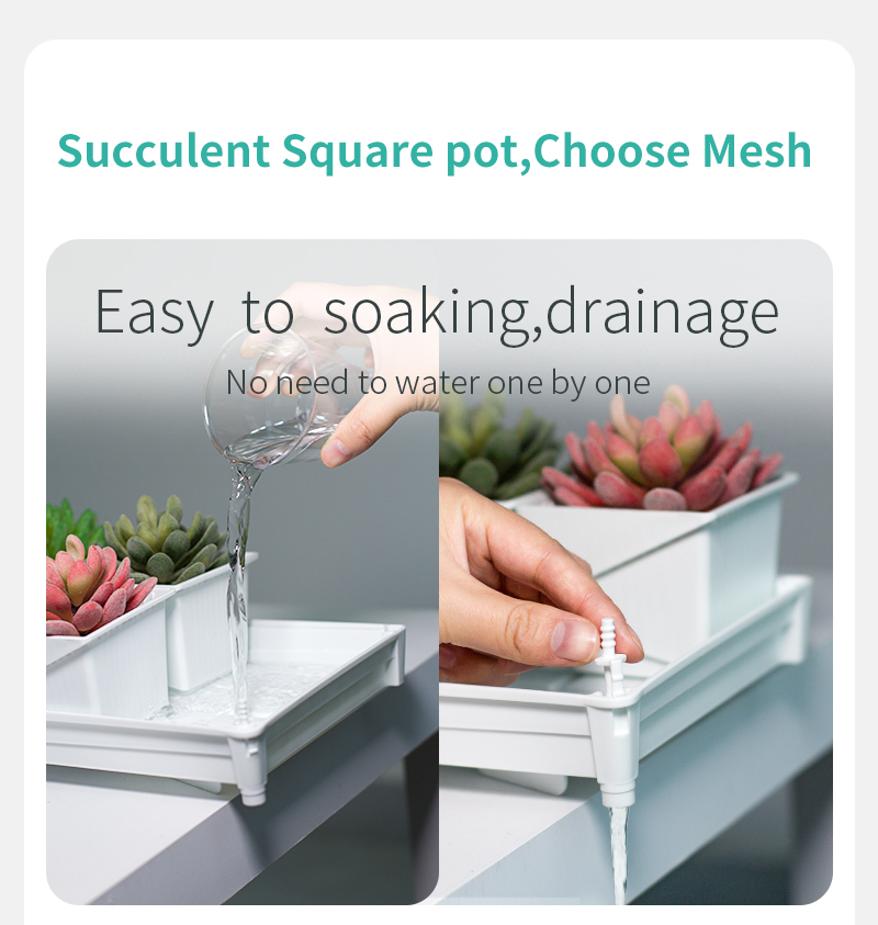 Meshpot Succulent Pot Set Cact - Cactus Mix Pot avis et prix