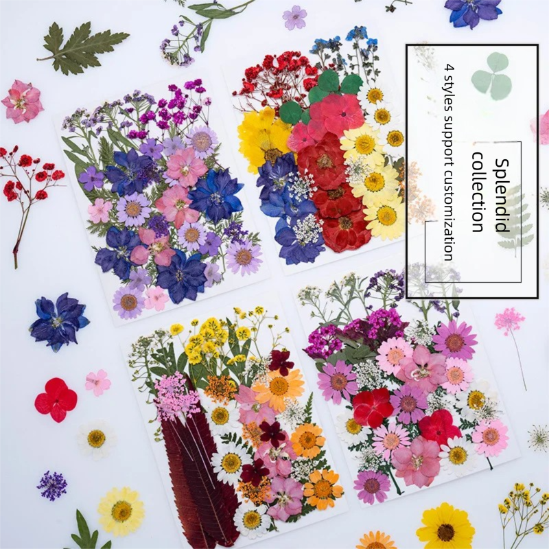 Mixed Dried Flowers, Pressed F - Plant Parent Free avis et prix