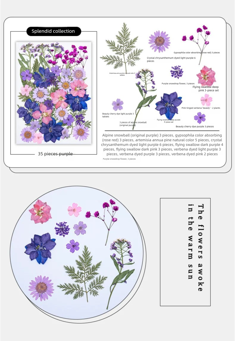 Mixed Dried Flowers, Pressed F - Plant Parent Free avis et prix