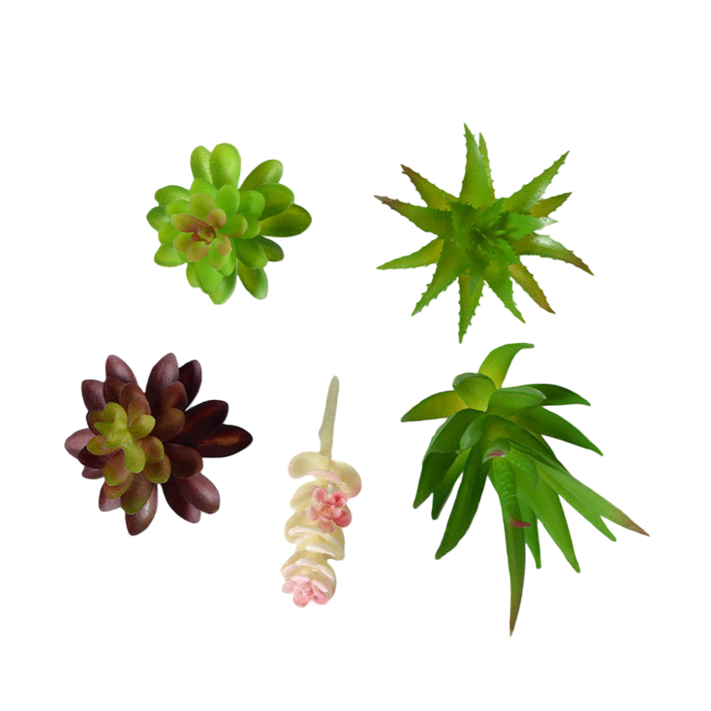Low Upkeep For Mini Bonsai Suc - Succulent Arrangement Mini avis et prix