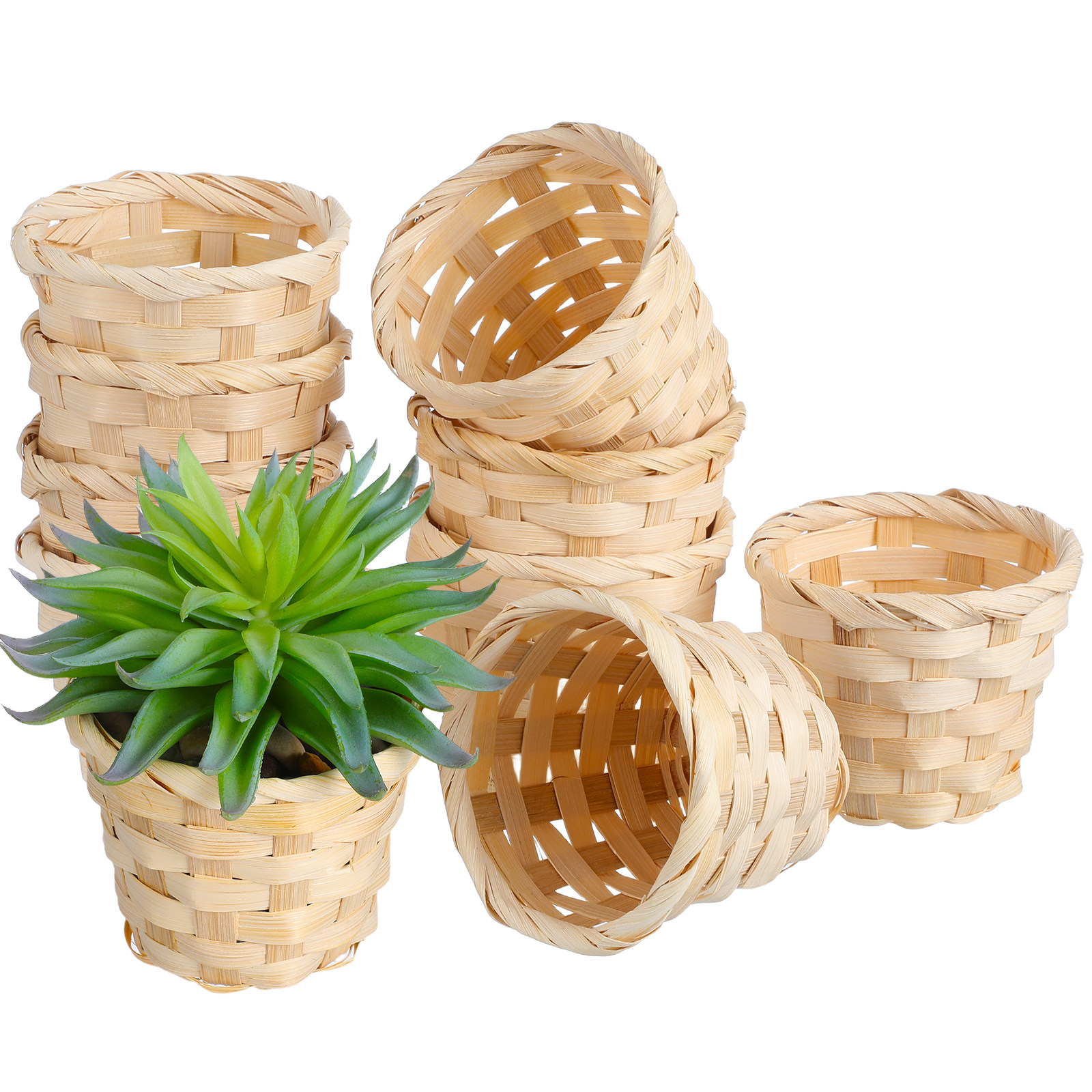 10pcs Rustic Style Exquisite M - Succulent Arrangement Mini avis et prix