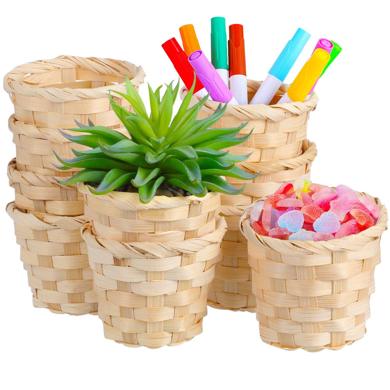 10pcs Rustic Style Exquisite M - Succulent Arrangement Mini avis et prix