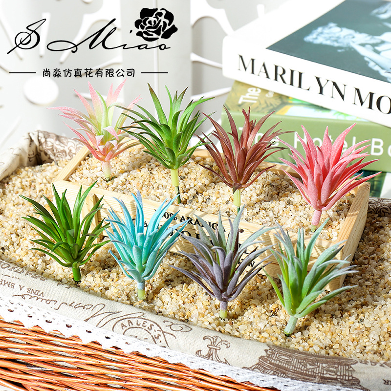 7.5x10cm Mini Ling Jiao Cao Ar - Succulent Arrangement Mini avis et prix
