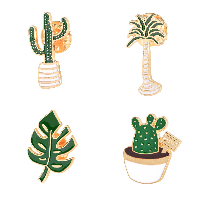 Lovely Badge Plant Potted Coll - Cactus Mix Pot avis et prix