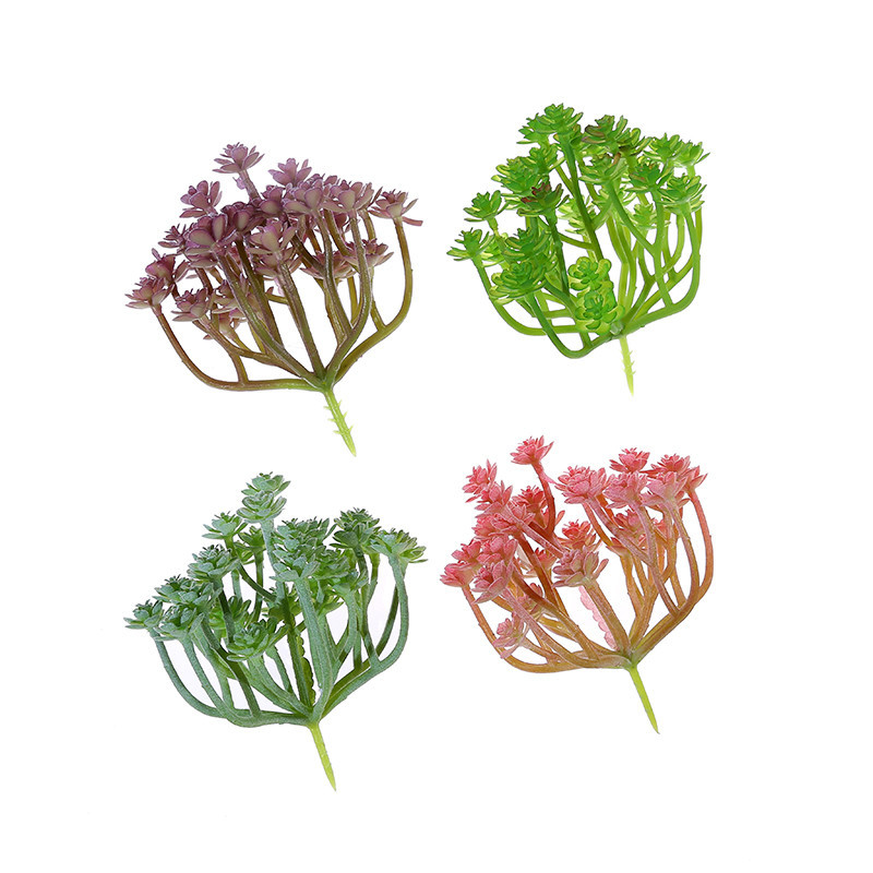 Wusmart Large Xian Ren Ke Arti - Succulent Arrangement Mini avis et prix