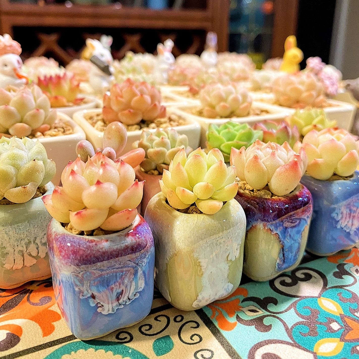 10Pcs Mini Ceramics Fowerpot M - Cactus Mix Pot avis et prix