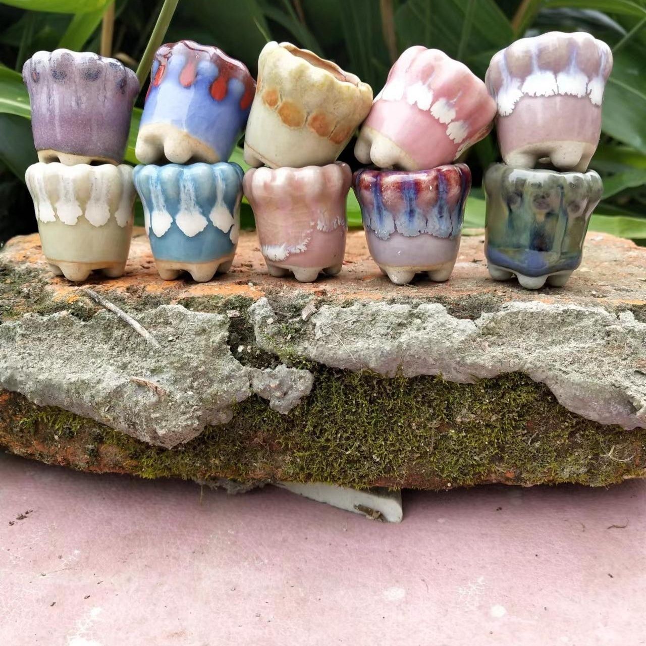 10Pcs Mini Ceramics Fowerpot M - Cactus Mix Pot avis et prix
