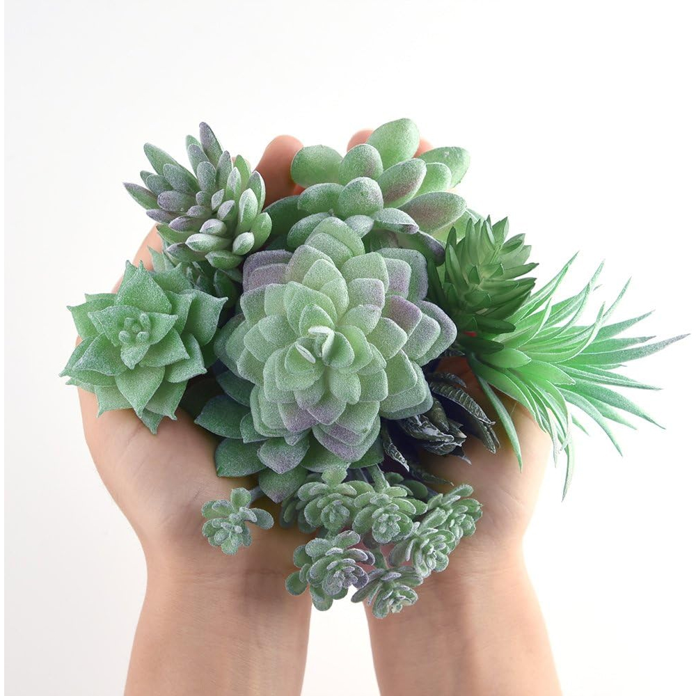 11/15/18Pcs Mini Artificial Su - Succulent Arrangement Mini avis et prix