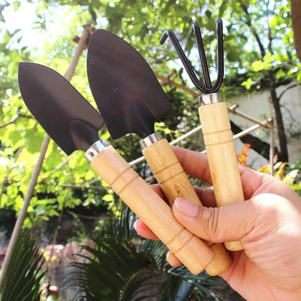 3Pcs/Set Mini Garden Tool Set  - Cactus Mix Pot avis et prix