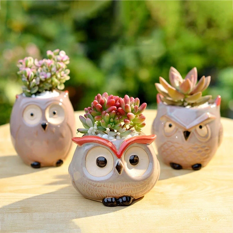 Ceramic Owl Flower Pot Cute An - Cactus Mix Pot avis et prix