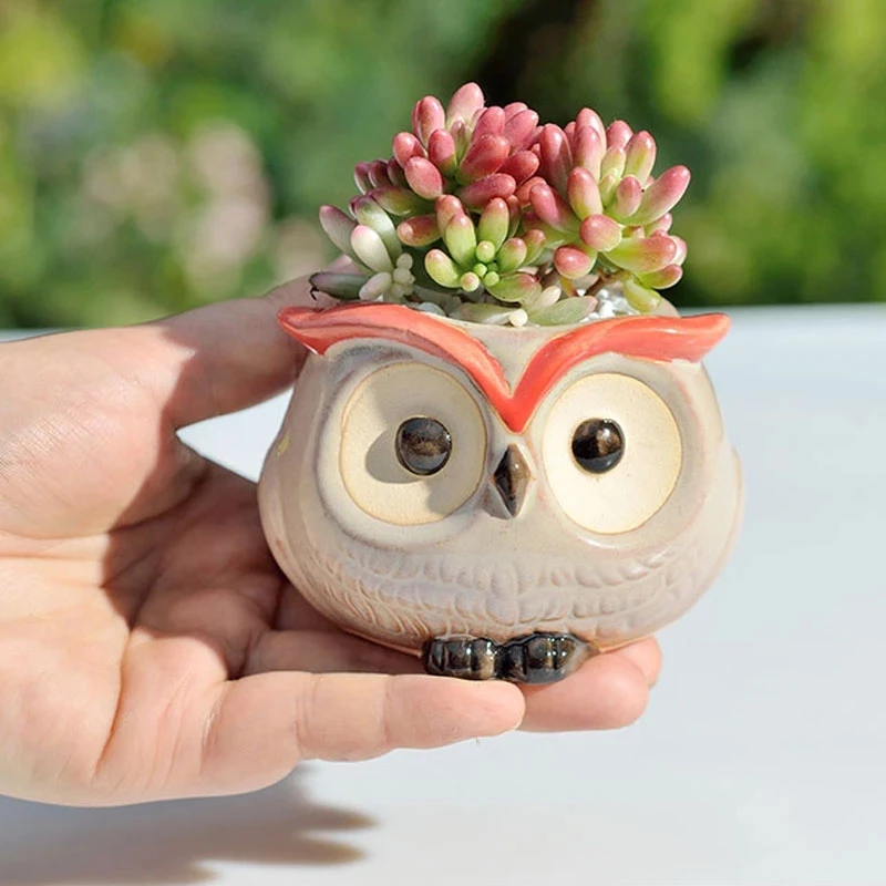 Ceramic Owl Flower Pot Cute An - Cactus Mix Pot avis et prix