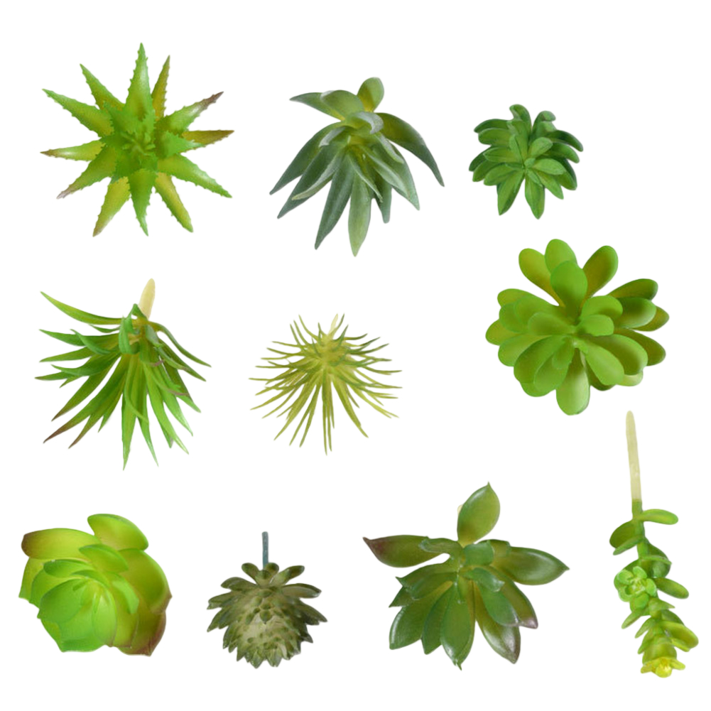 Photography Prop Friendly For  - Succulent Arrangement Mini avis et prix