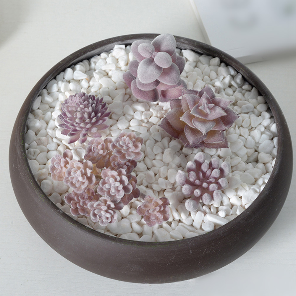 Photography Prop Friendly For  - Succulent Arrangement Mini avis et prix