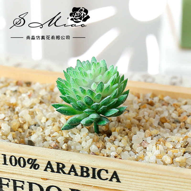 Wusmart Ji Wa Lian Artificial  - Succulent Arrangement Mini avis et prix